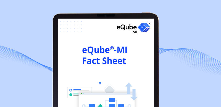 MI Fact Sheet